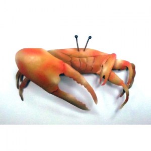 JMA -010       Fiddler Crab 19.5 x 12 x 3